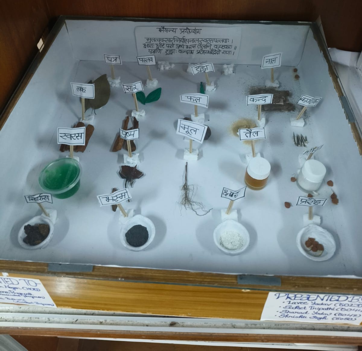 Department of Dravyaguna Vigyan - Lab 1